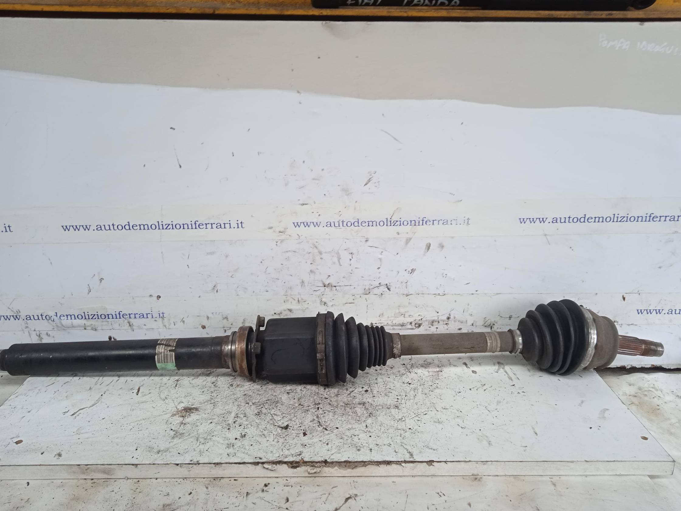 Semialbero ant. compl. dx.